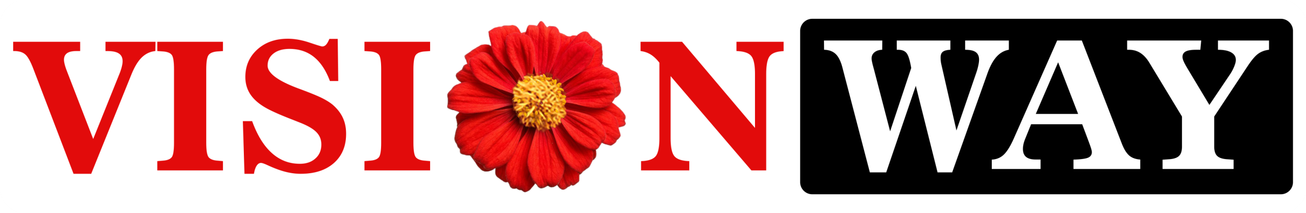 VisionWay Logo