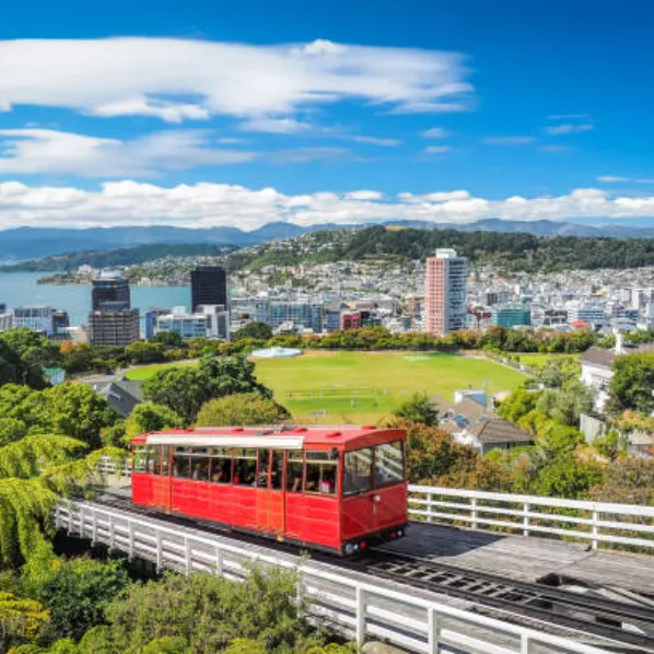 Study in Newzealand