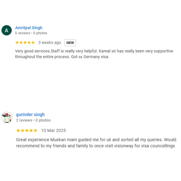 Google Review 9